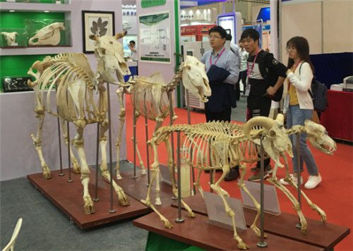 祝賀雨林參展4月教育“兩會(huì)”圓滿(mǎn)成功