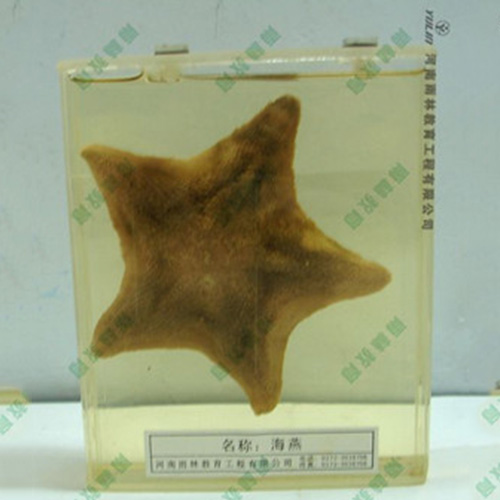 ?？駱吮? width=