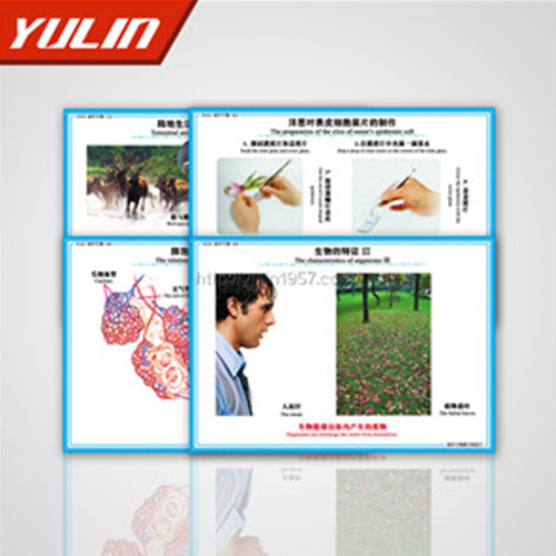 微生物及免疫教學掛圖