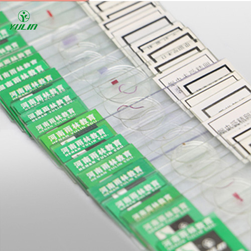 中藥干制標(biāo)本